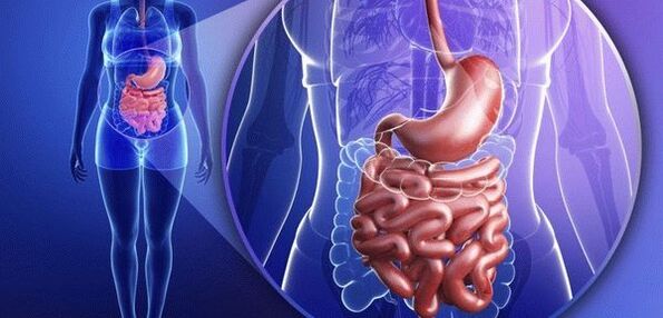 Endoparasitos
